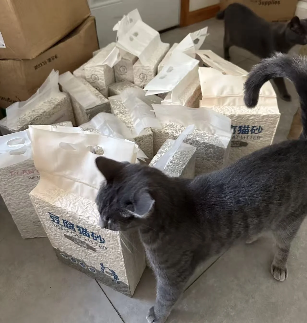 高品质豆腐猫砂 - 二手闲置 图片3