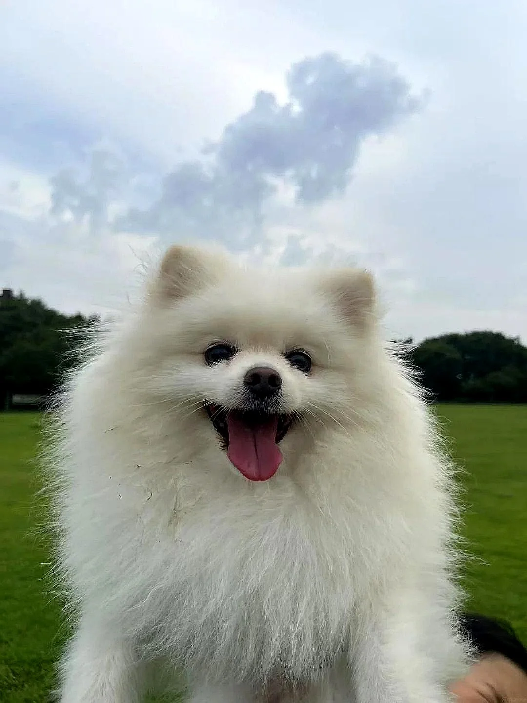 纽约小龚
