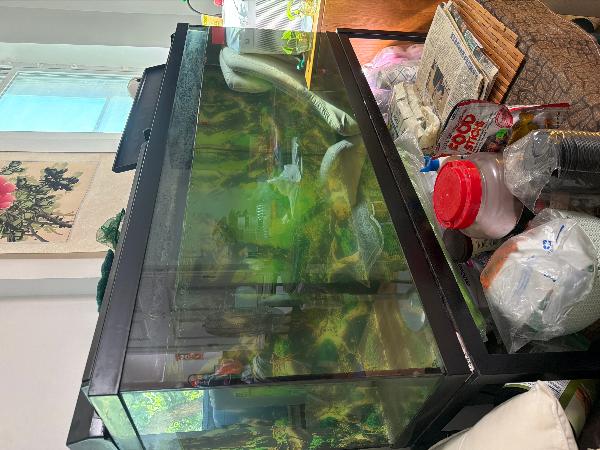 55加仑鱼缸带架子，全套等过滤器，150元，☎️9177041288 - 二手闲置 图片1