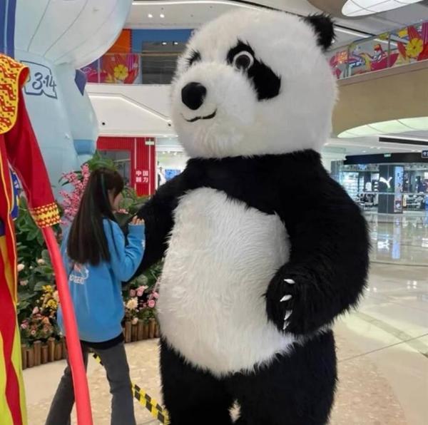 九成新熊猫吉祥物转让240元 - 二手闲置 图片1