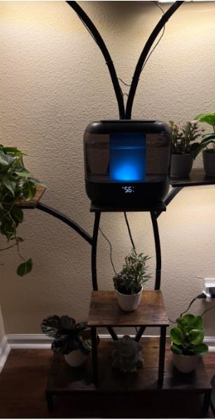 $25出99新中号自动加湿器（有手机控制与精油香薰功能） - 二手闲置 图片2